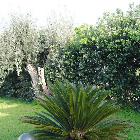 Uso Turistico Barbara Holiday home Carini