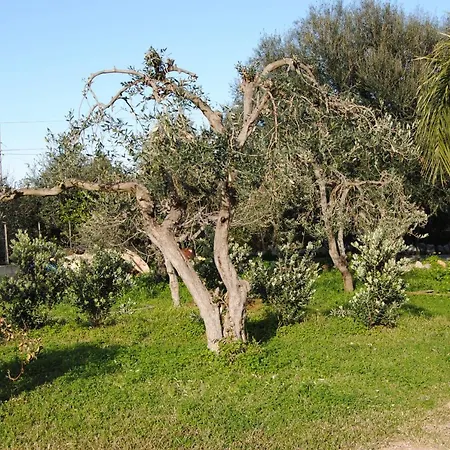 Σπίτι διακοπών Uso Turistico Barbara